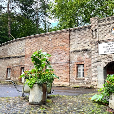 Die äußere Ziegelsteinmauer des Zwischenwerk Va in Köln. Im Vordergrund stehen Pflanzen.