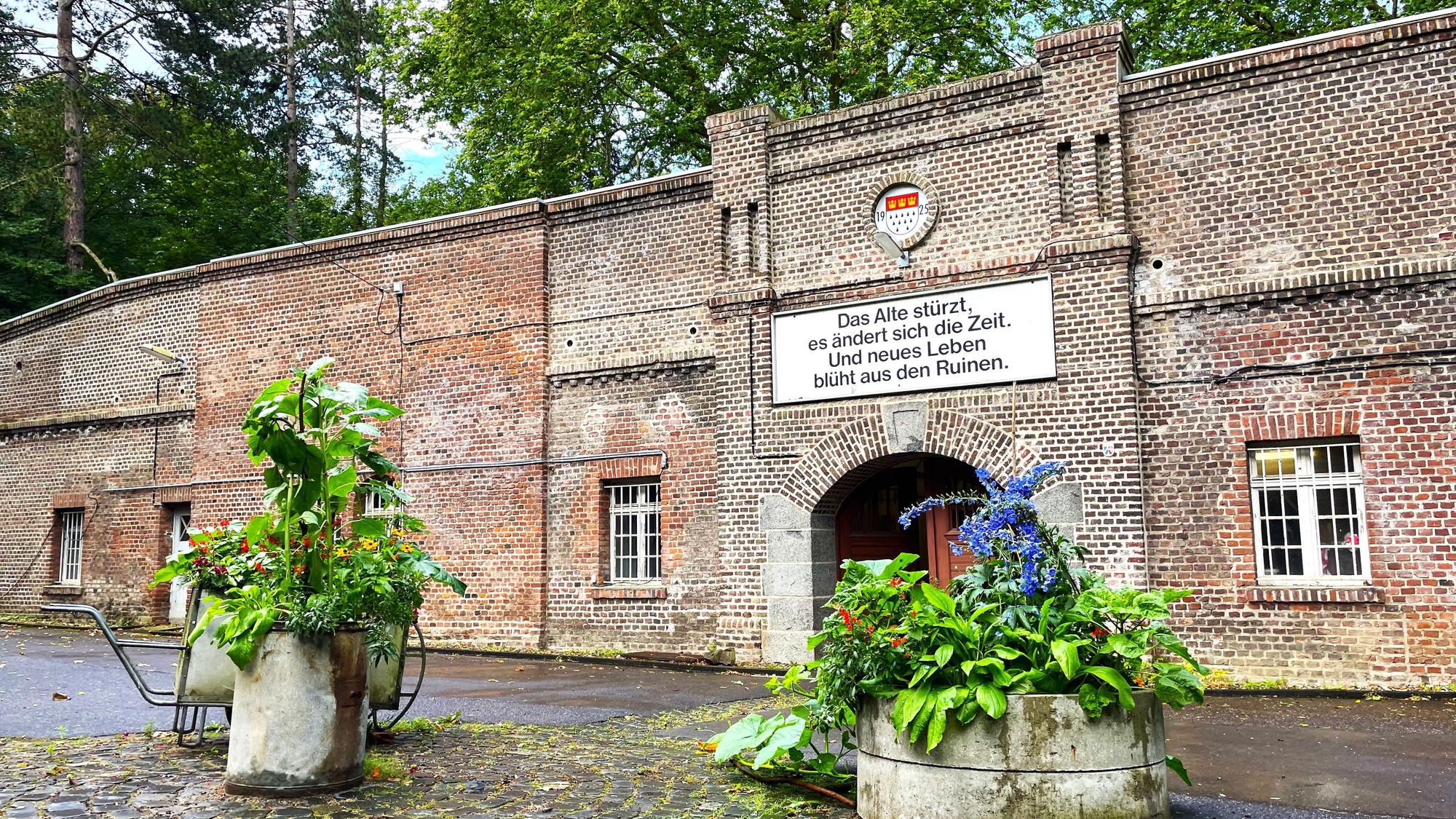 Die äußere Ziegelsteinmauer des Zwischenwerk Va in Köln. Im Vordergrund stehen Pflanzen.