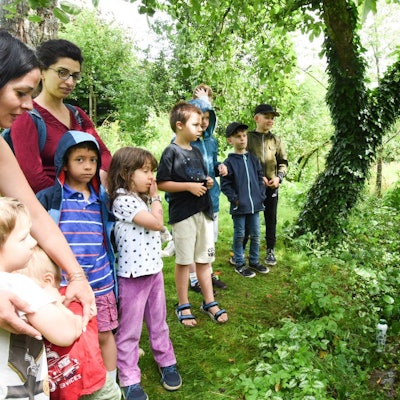 Mit Bienen zum Anfassen und Honig direkt aus der Wabe brachte der Imker Felix Macht aus Nümbrecht den Kindern seine Haustiere nahe.
