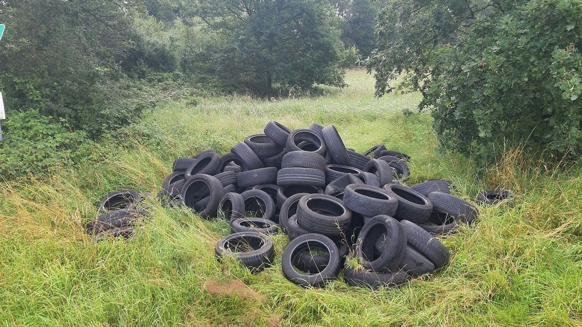Etwa 80 Autoreifen liegen auf einem Haufen auf einer Wiese.