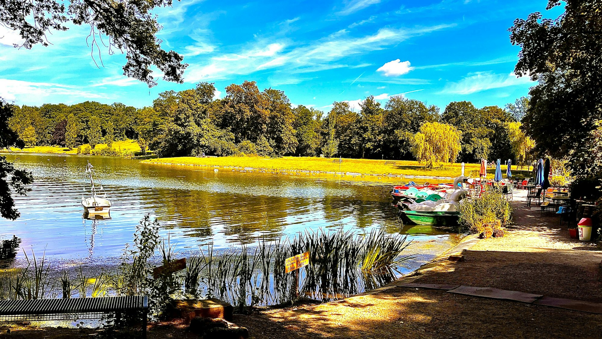 Kahlscheurer Weiher, unter Insidern gibt es hier den schönsten Sonnenuntergang in Köln.
