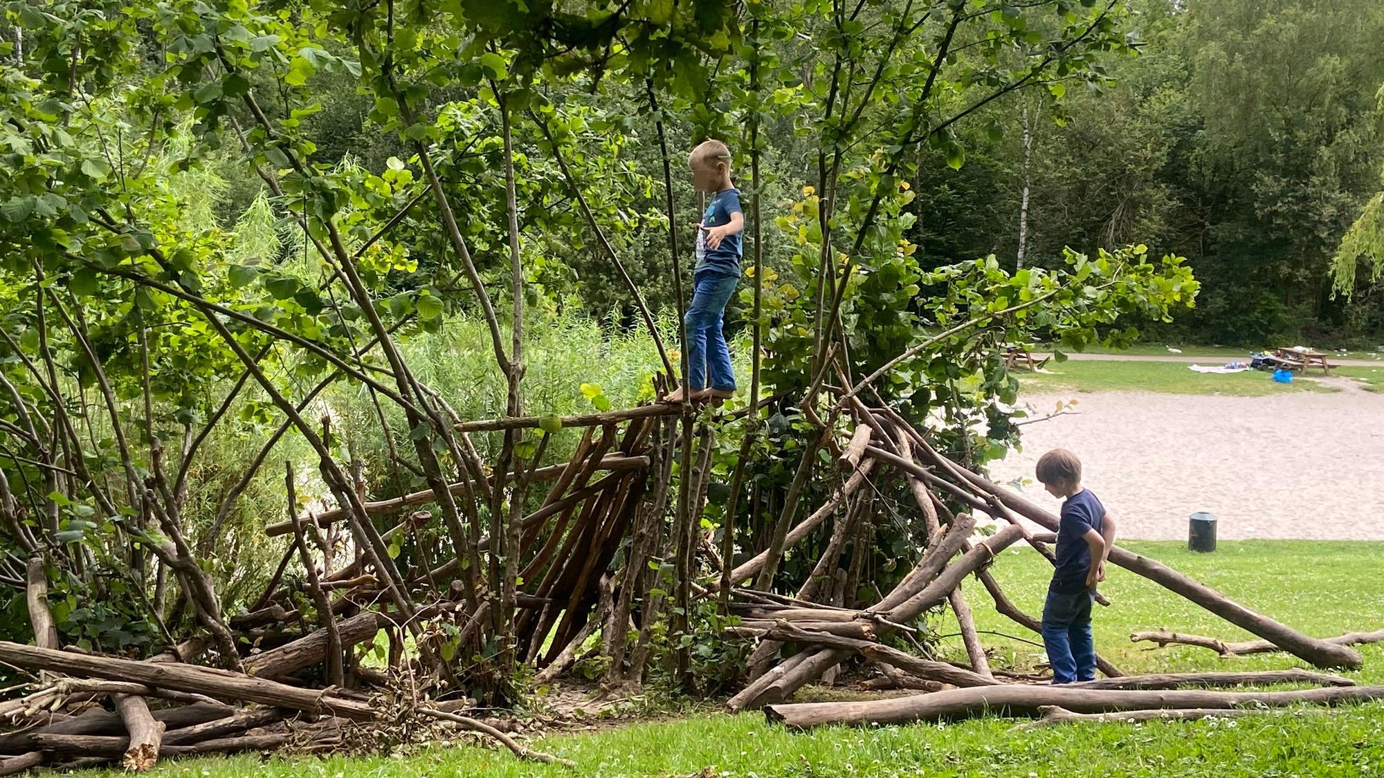 Kinder spielen auf Ästen.