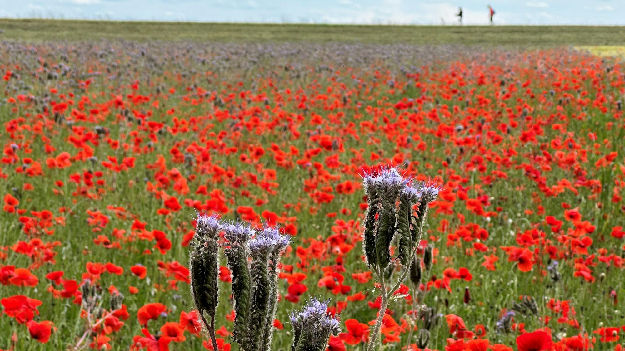 Bis zum 21. Oktober kann man am Fotowettbewerb teilnehmen.