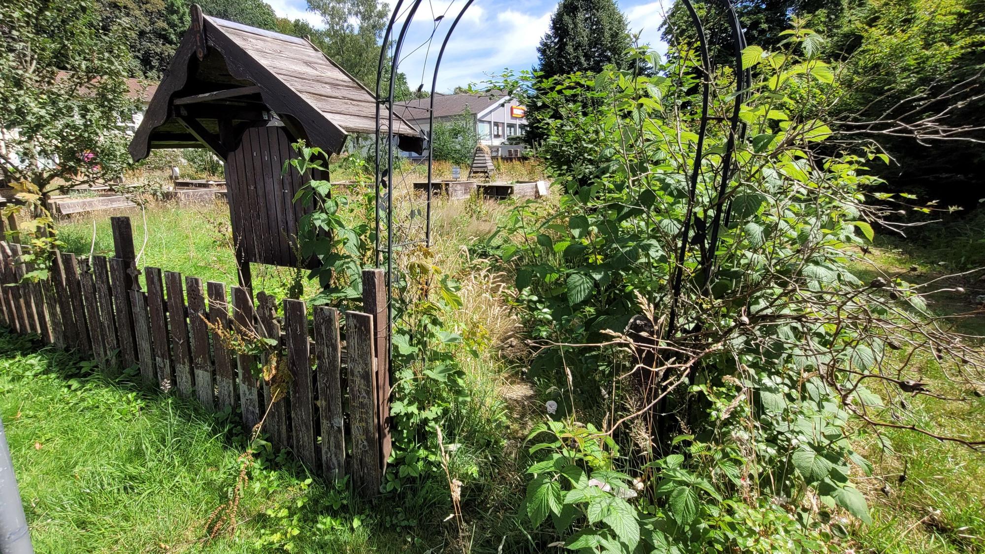 Durch diesen Zugang an der Gerdesstraße ist der im September 2016 angelegte Netzwerk-Garten in Waldbröl heute nicht mehr zu betreten: Er ist völlig zugewuchert.