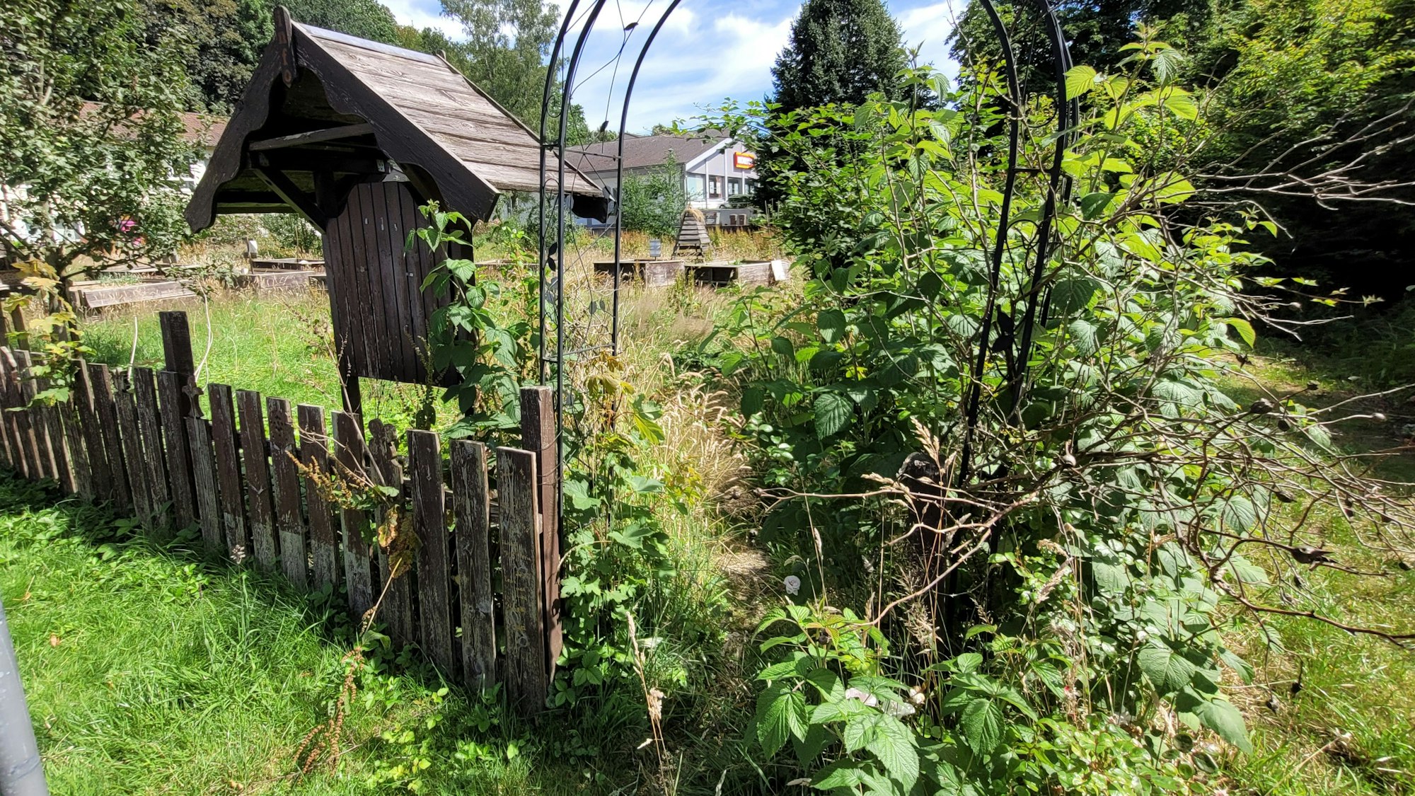 Durch diesen Zugang an der Gerdesstraße ist der im September 2016 angelegte Netzwerk-Garten in Waldbröl heute nicht mehr zu betreten: Er ist völlig zugewuchert.