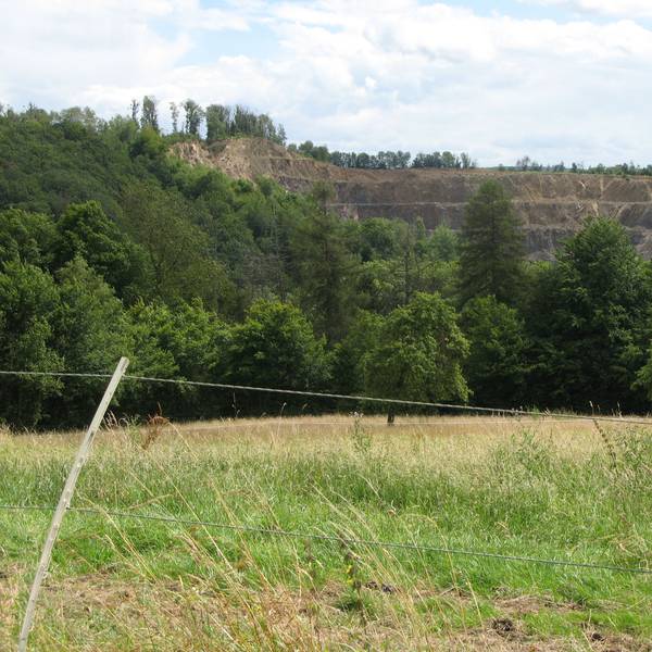 Blick aus einiger Entfernung in den Steinbruch Imhausen mit Bäumen im Vordergrund.