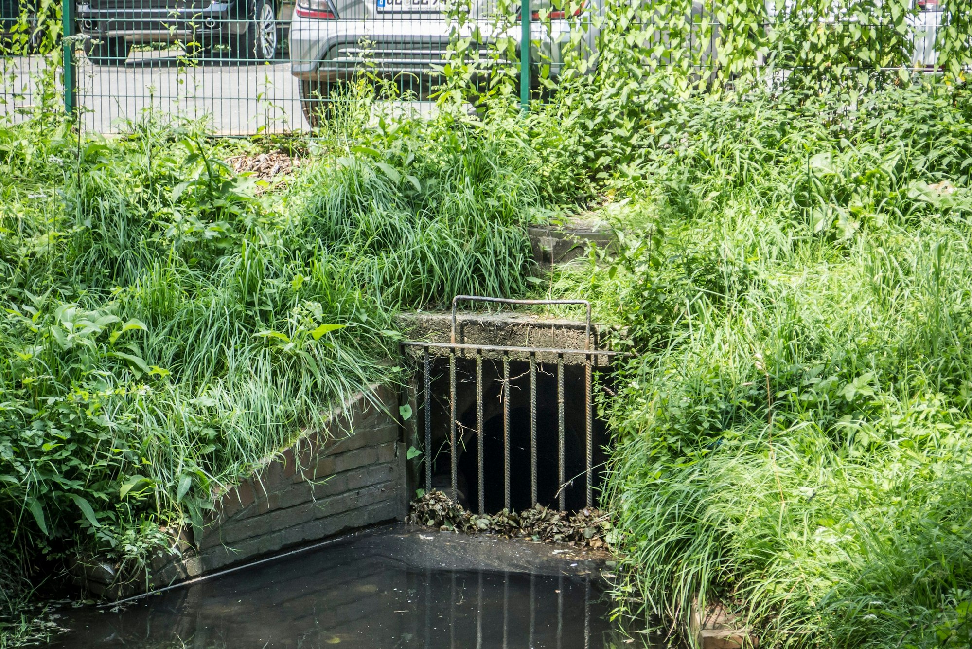 Der Weiher am Lindenhof ist nach wie vor bei Hochwasser gefährdet, überzulaufen. Foto: Ralf Krieger