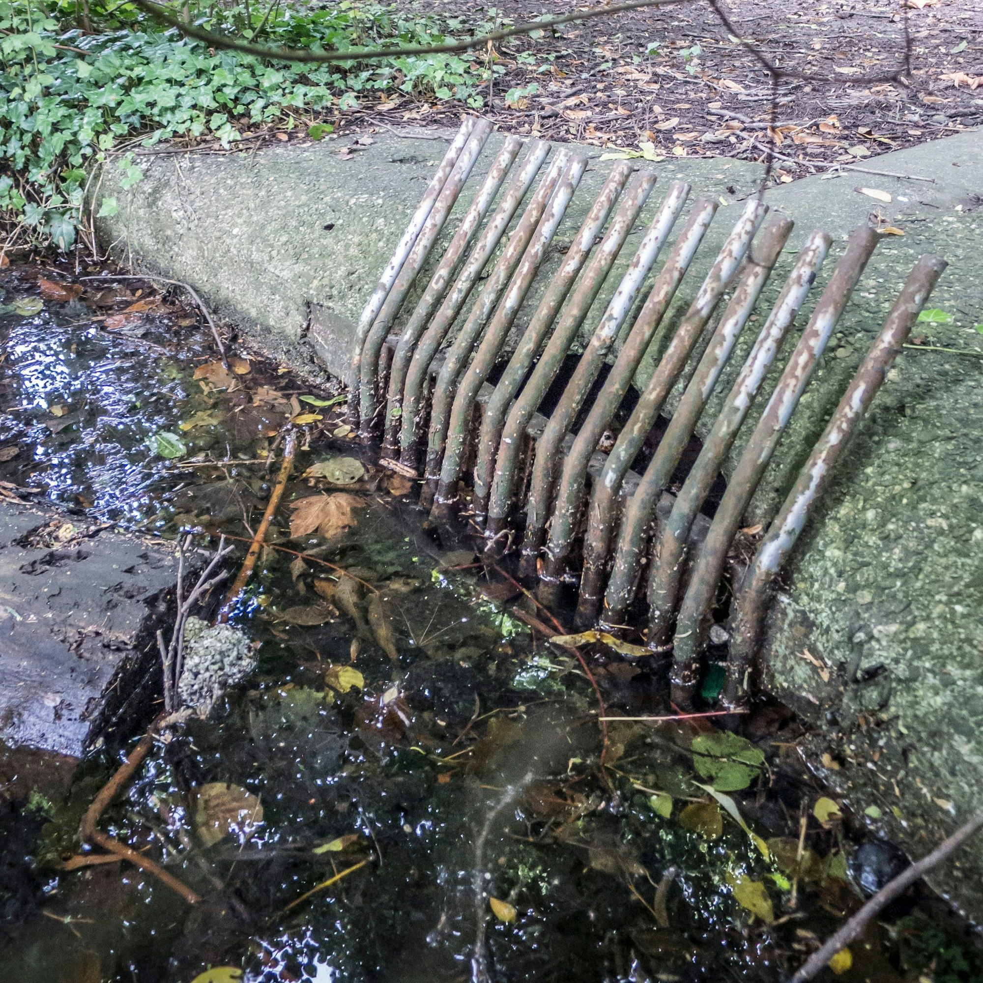 Der Weiher am Lindenhof ist nach wie vor bei Hochwasser gefährdet, überzulaufen. Foto: Ralf Krieger