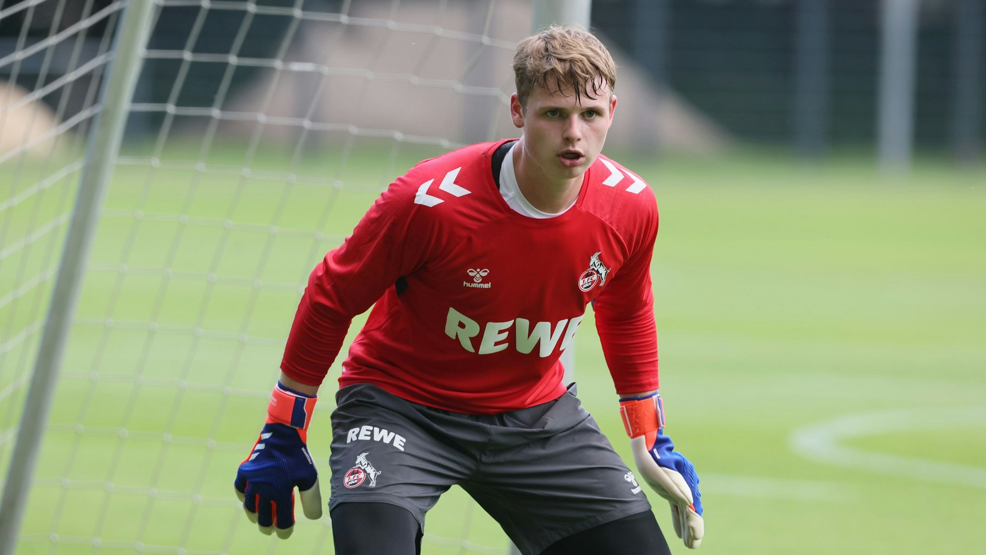 Torhüter Jonas Urbig vom 1. FC Köln konzentriert sich im Training.