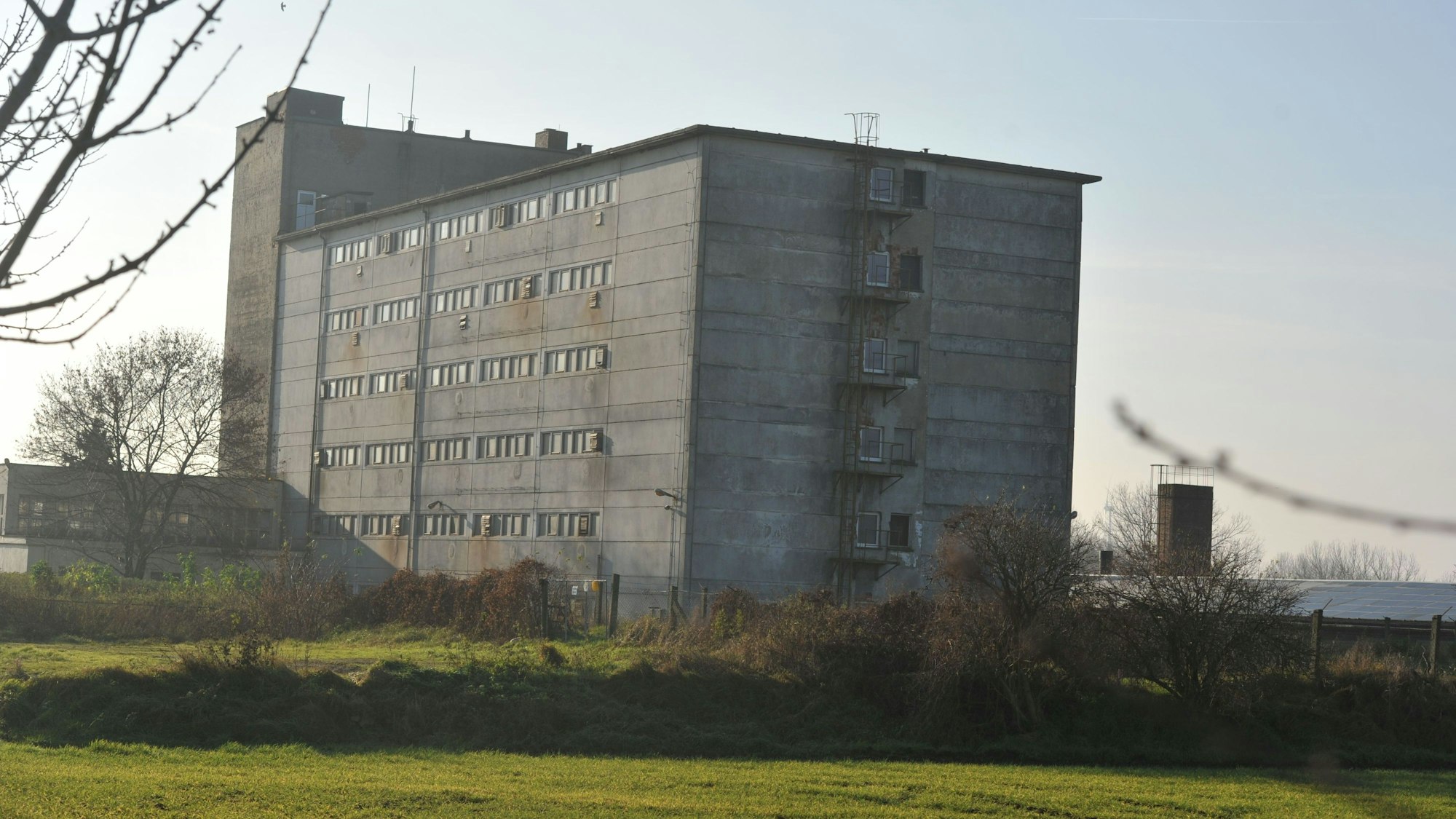 Ein Bodenhochhaus für die Zucht von Schweinen.