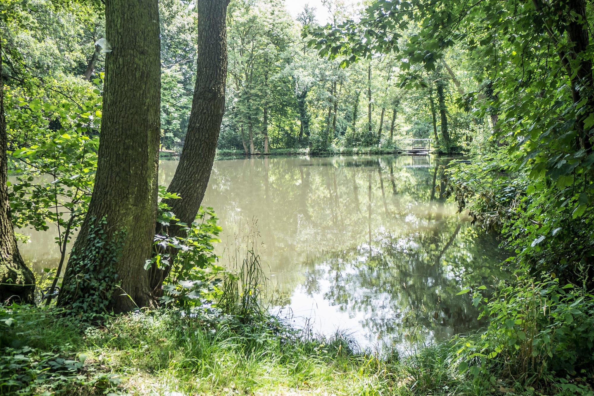 Der Weiher am Lindenhof ist nach wie vor bei Hochwasser gefährdet, überzulaufen. Foto: Ralf Krieger