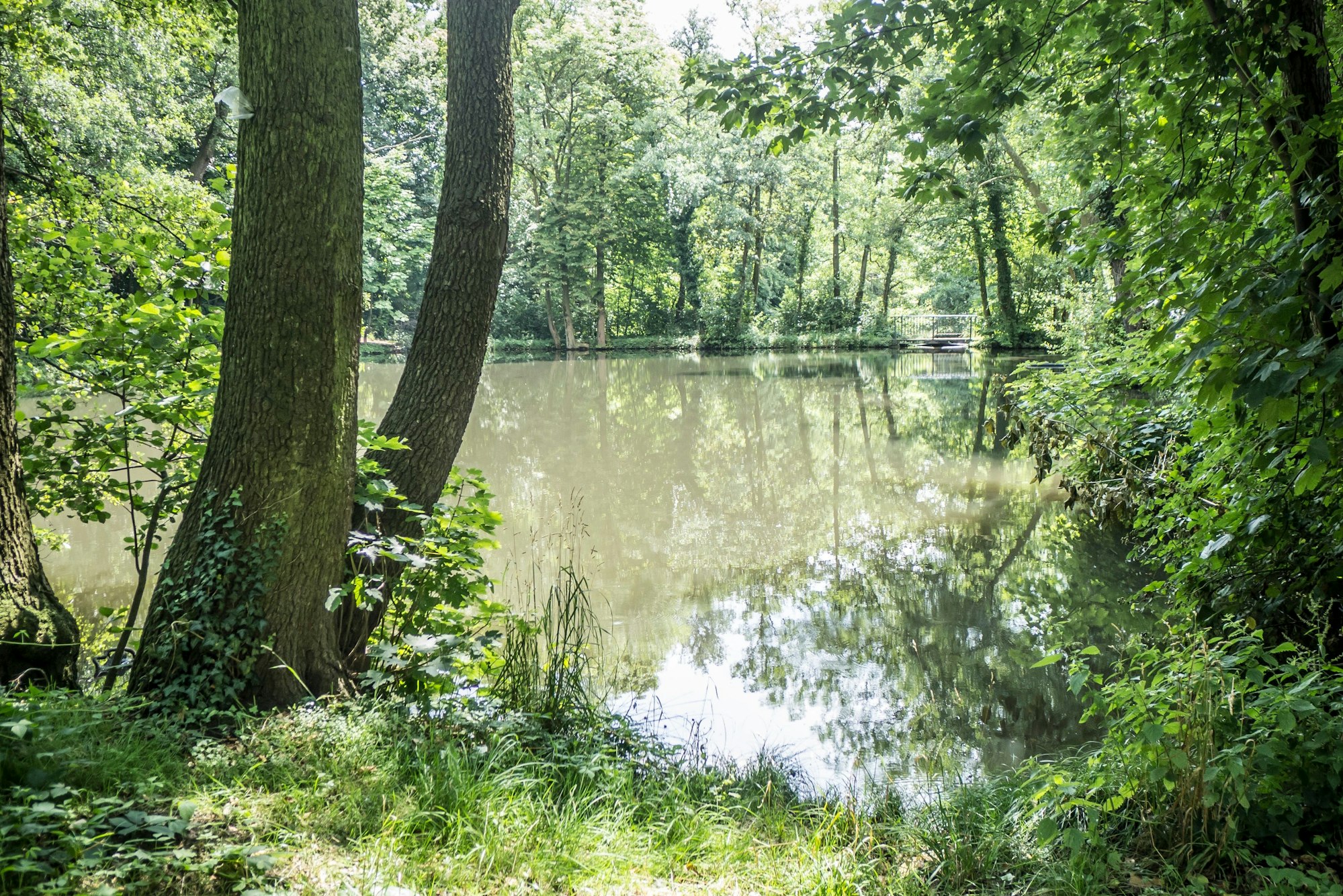 Der Weiher am Lindenhof ist nach wie vor bei Hochwasser gefährdet, überzulaufen. Foto: Ralf Krieger
