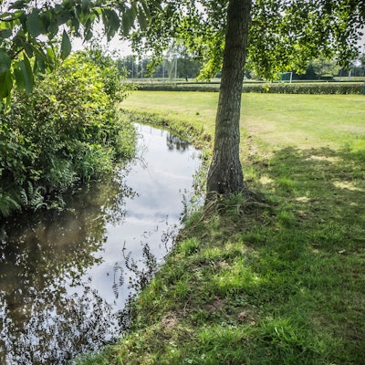 Der Mutzbach fließt auch durch die Werferanlage im Kurtekotten.