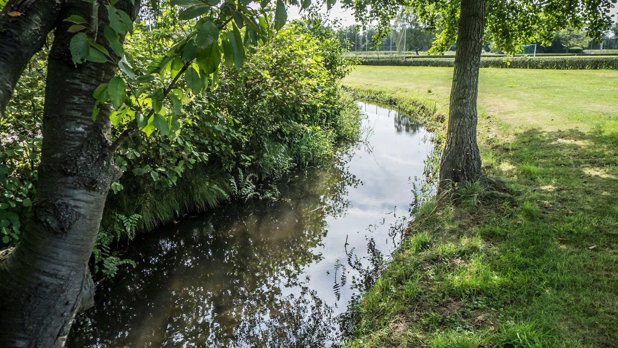 Der Mutzbach fließt auch durch die Werferanlage im Kurtekotten.