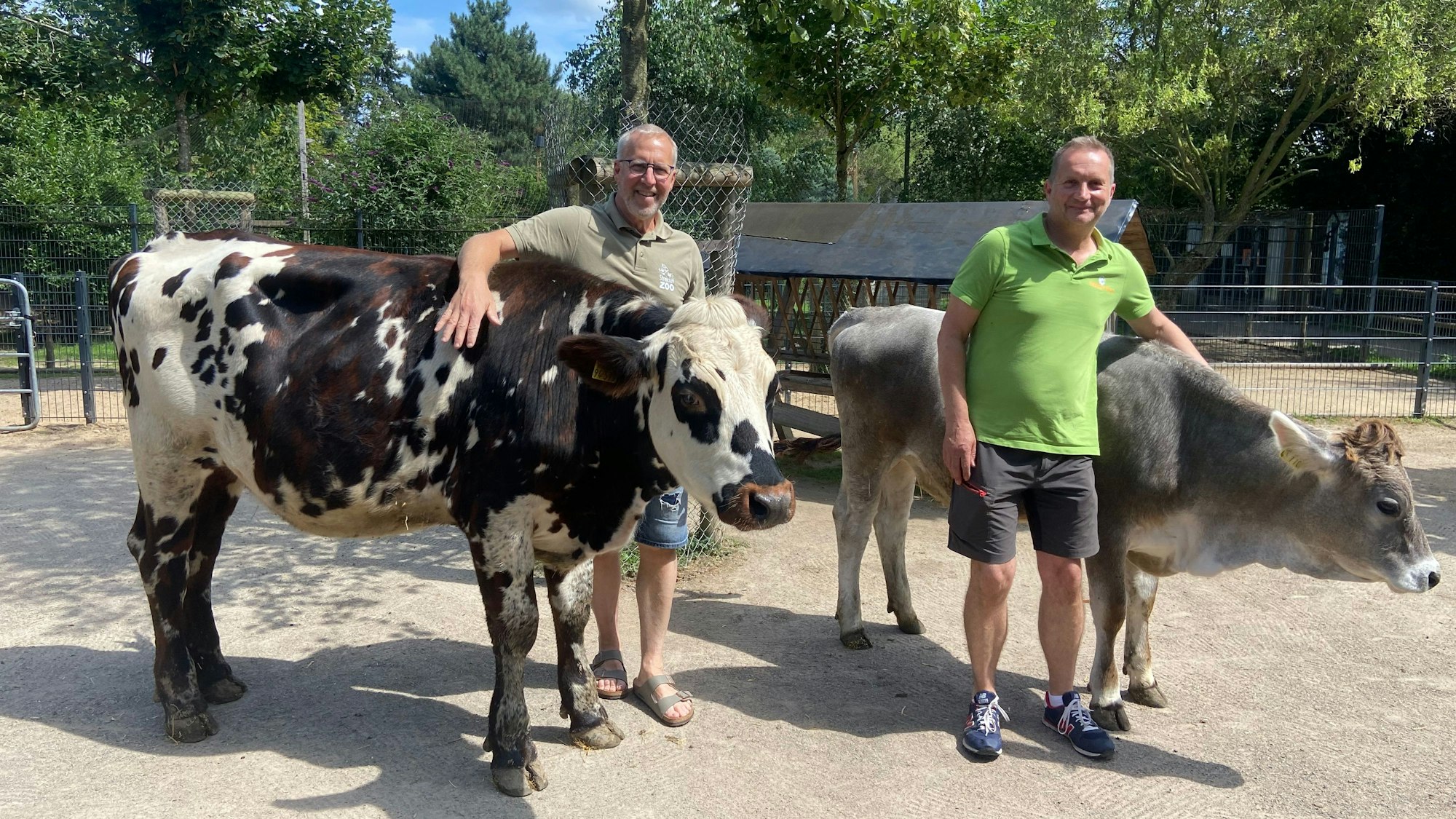 Zwei Männer stehen neben zwei Kühen.
