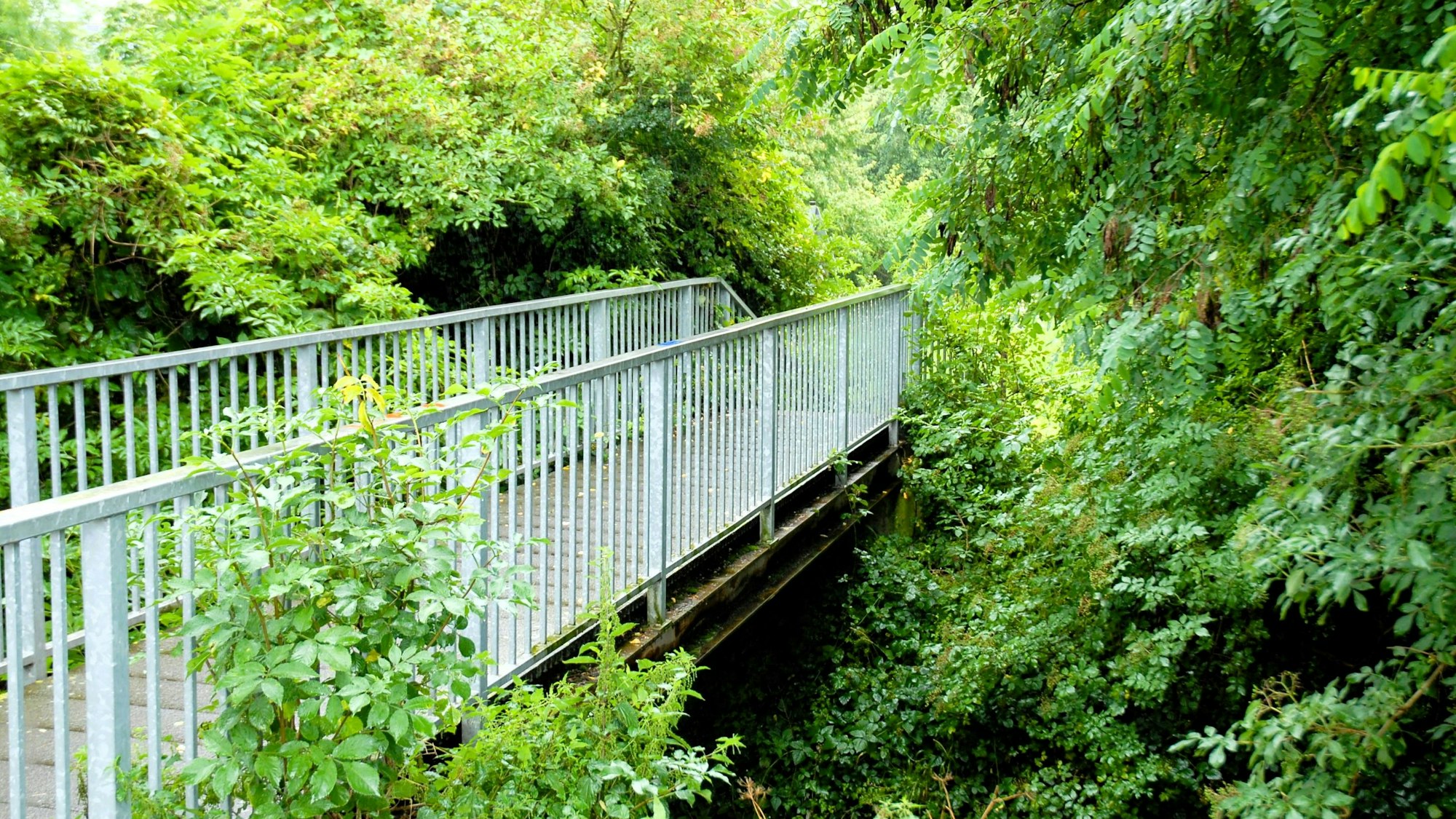 Eine Brücke führt über einen Bach.