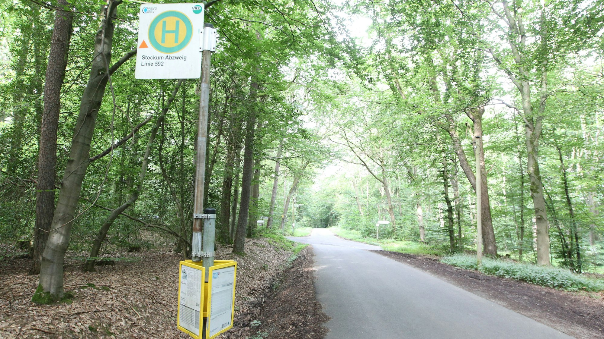 Einsamste Bushaltestellen im Rhein-Sieg-Kreis Bushaltestelle Stockum Abzweig in Ruppichteroth zwischen Litterscheid und Stockum im Wald auf der Römerstraße