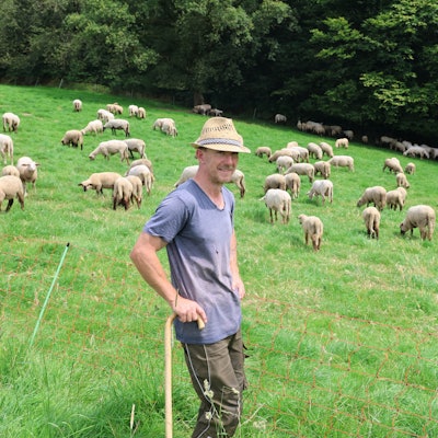 In der Nähe der Waldbröler Ortschaft Hochwald haben der Wanderschäfer Oliver Sachse und seine gut 500 Schafe jüngst Quartier bezogen. Unser Foto zeigt den 42-Jährigen auf seiner Weide.