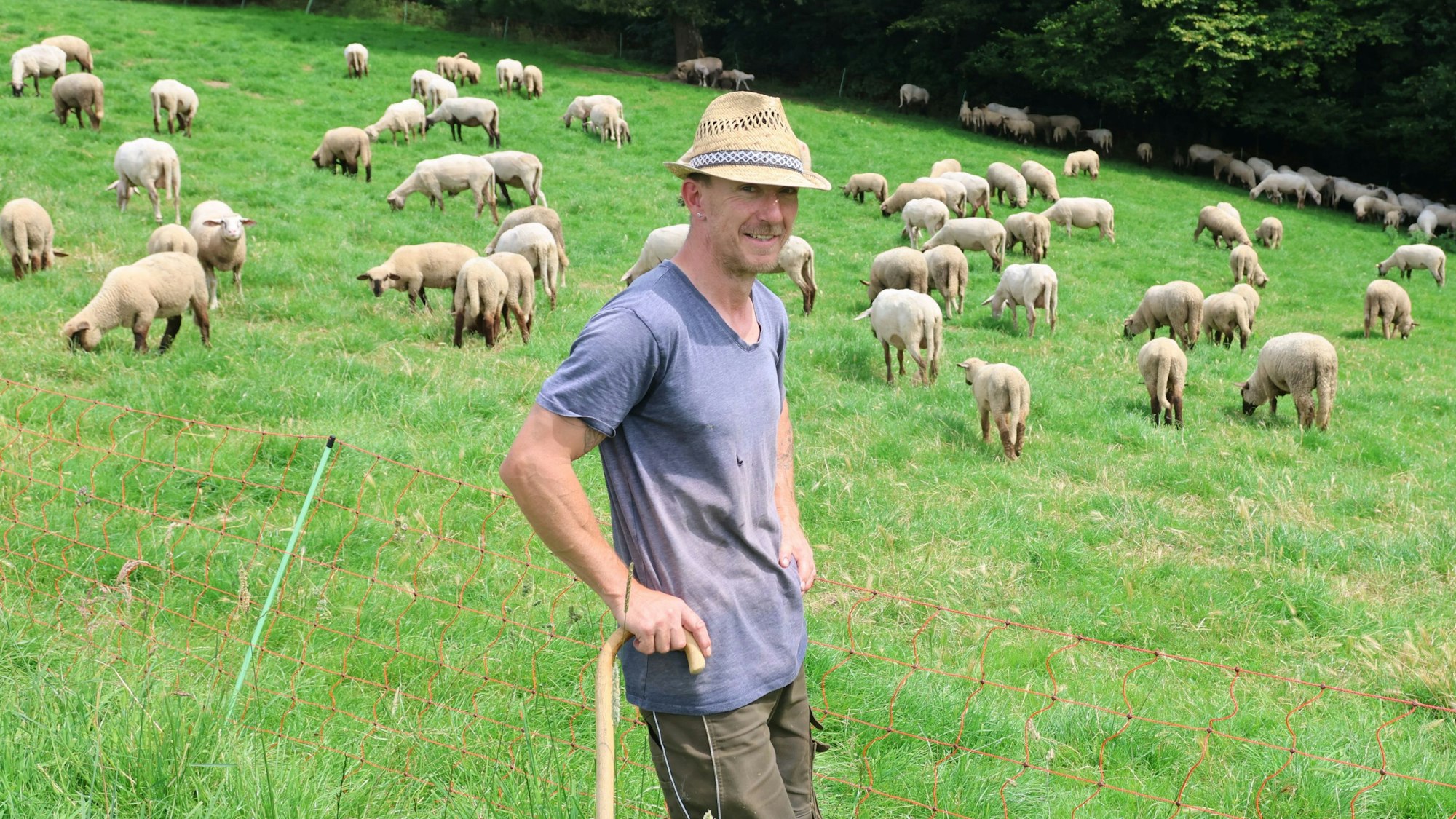 Der Wanderschäfer Oliver Sachse aus Waldbröl fürchtet nun auch, dass es die ersten Fälle von Blauzungenkrankheit in seiner großen Herde gibt.
