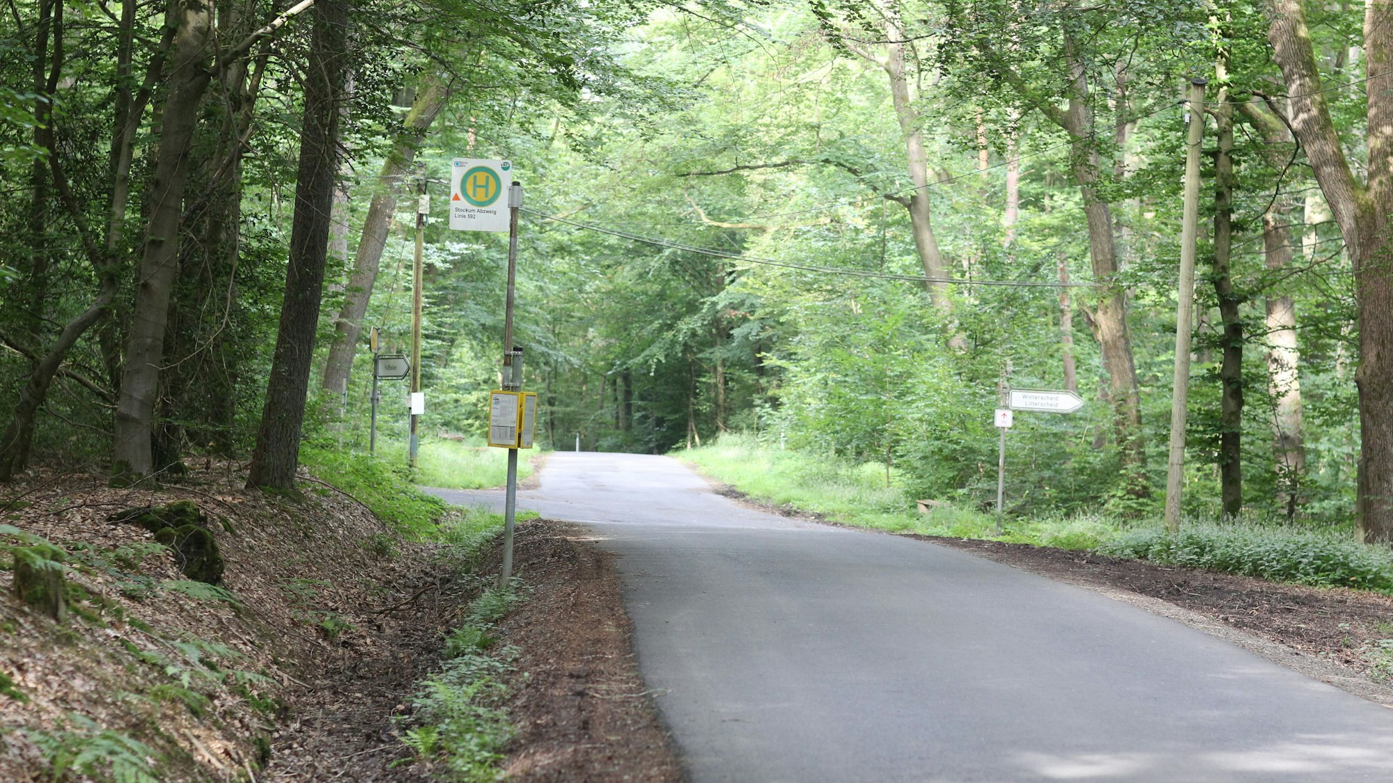 Die Haltestelle Stockum in Ruppichteroth besteht nur aus Eisenstange, Fahrplan und Schild.
