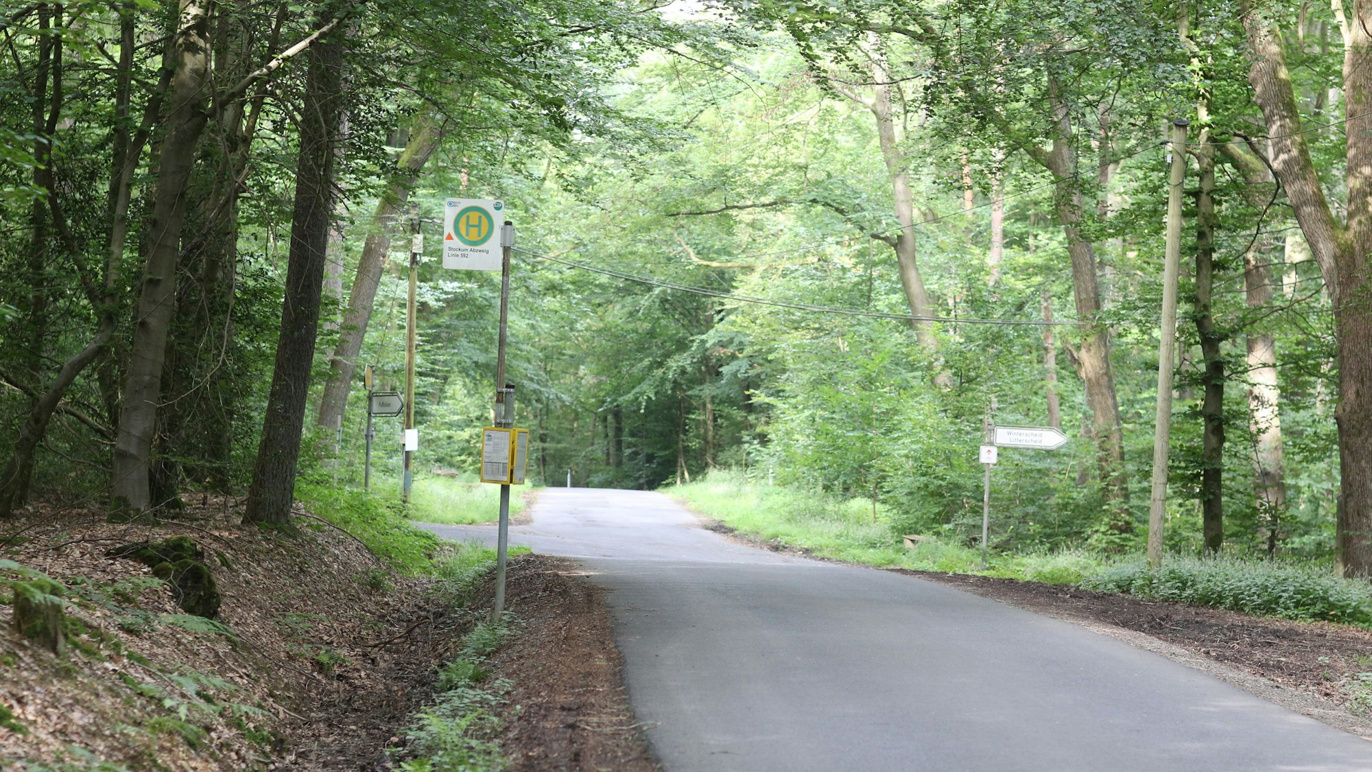 Einsamste Bushaltestellen im Rhein-Sieg-Kreis
Bushaltestelle Stockum Abzweig in Ruppichteroth zwischen Litterscheid und Stockum im Wald auf der Römerstraße. Die Haltestelle Stockum in Ruppichteroth besteht nur aus Eisenstange, Fahrplan und Schild.