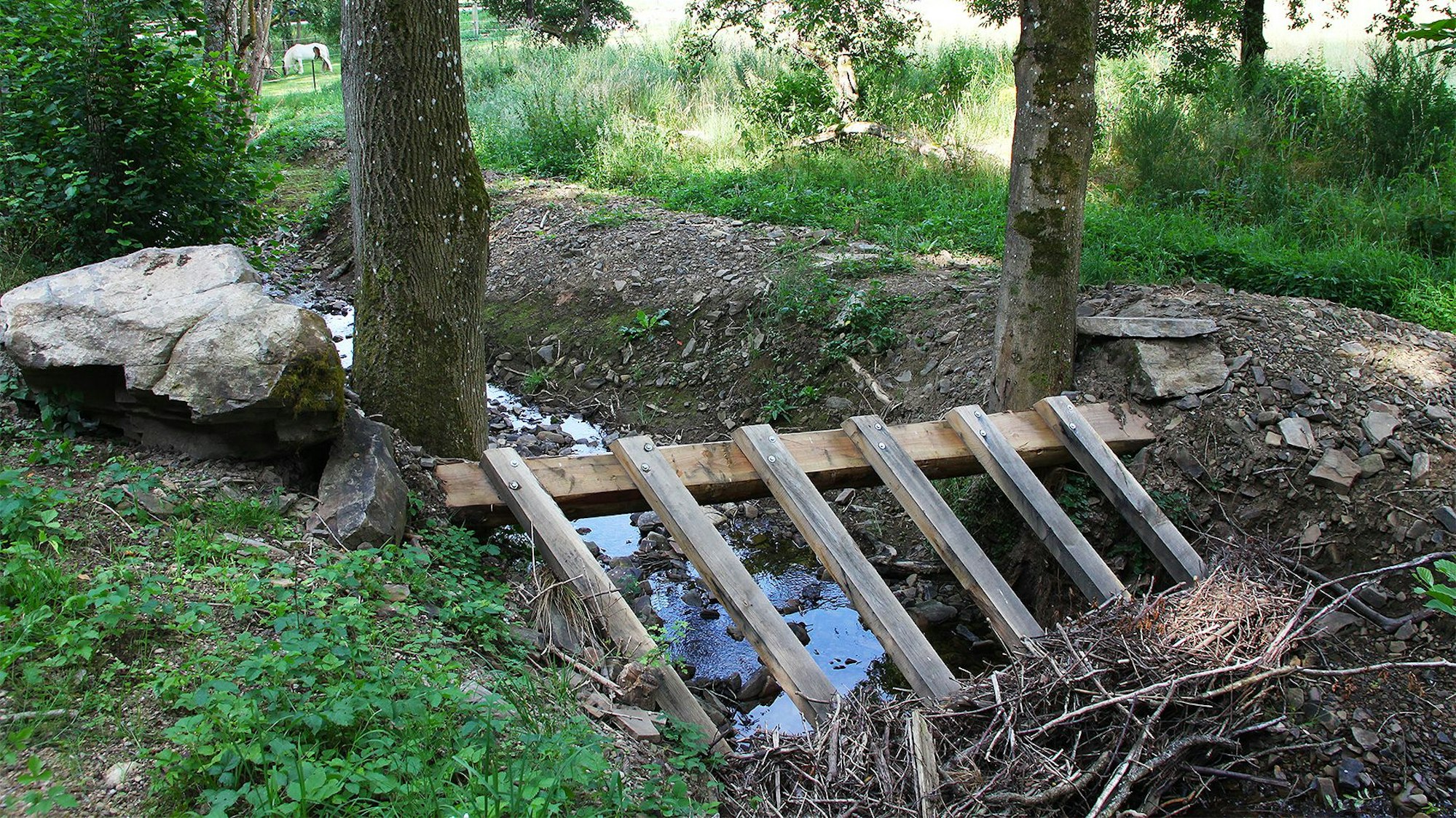 Ein Treibgutrechen aus Holz ist an einem kleinen Fluss im Wald bei Blankenheim gebaut worden.