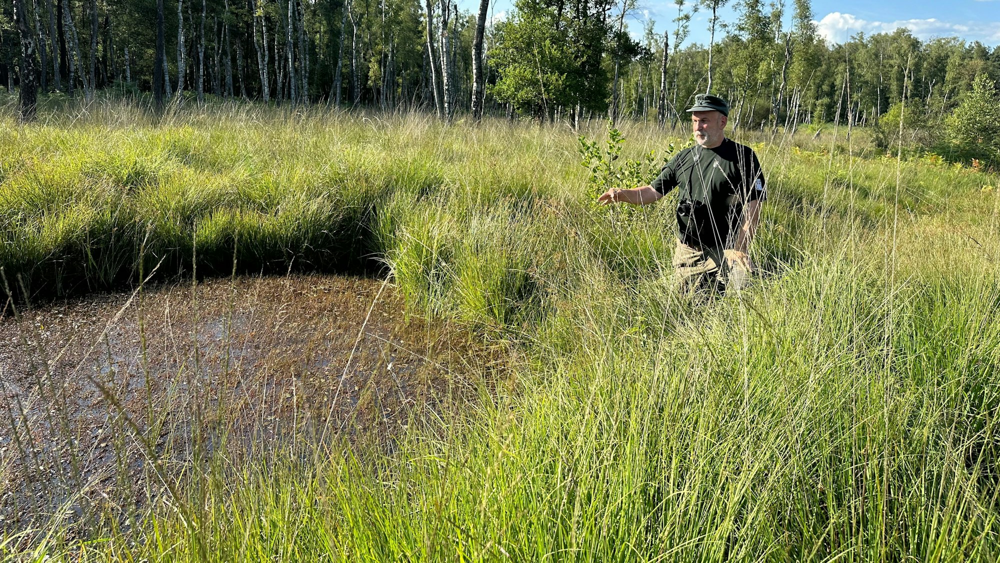 Förster Achim Urmes an einer künstlichen Staustufe, die das Planitzmoor retten soll.