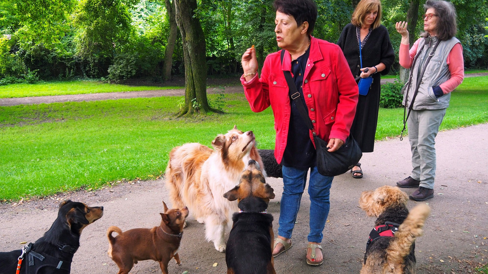 Highlight für die Hunde: Graziella Fiore verteilt Leckerchen.