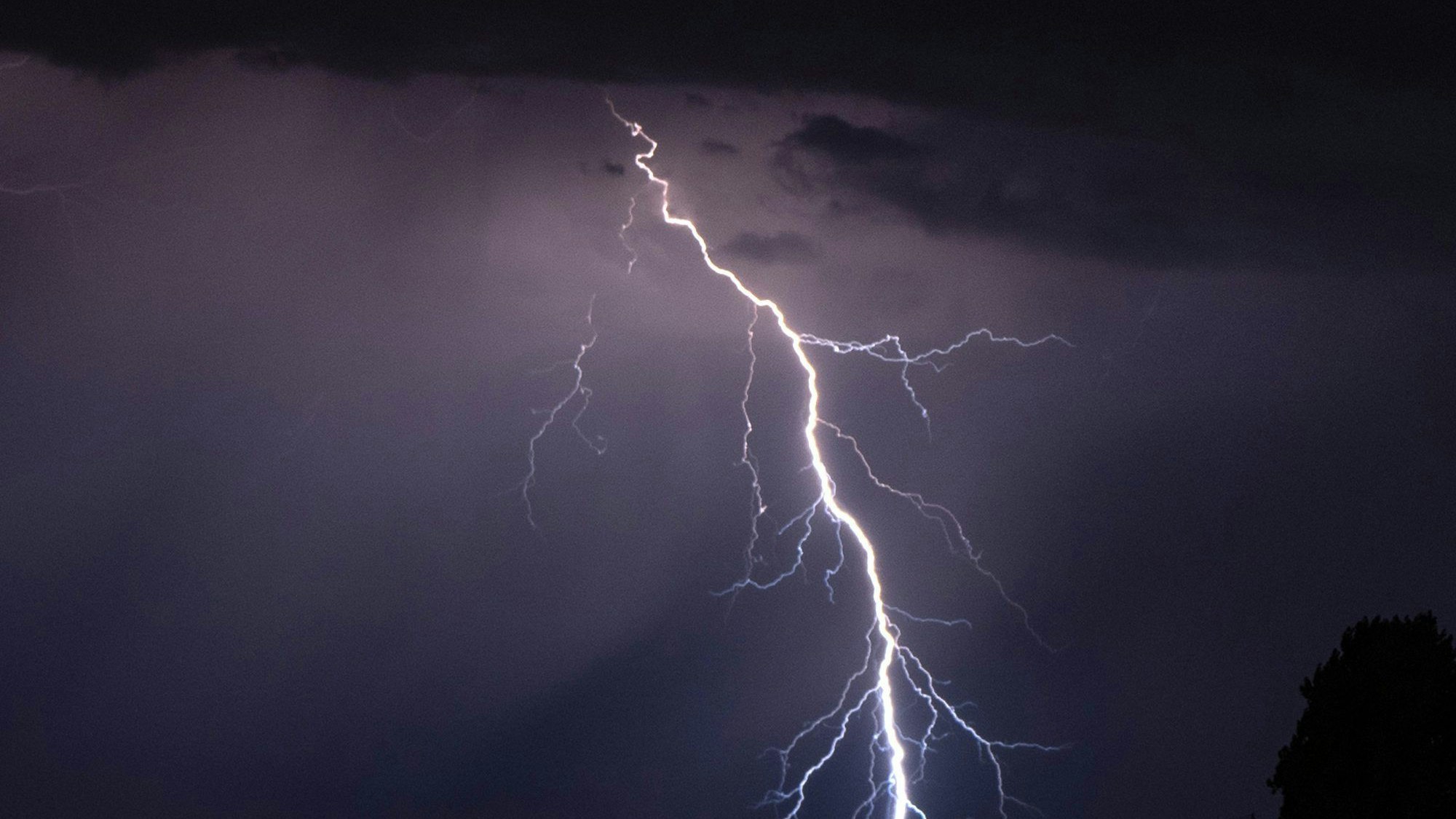 Ein Blitz entlädt sich während eines Gewitters.