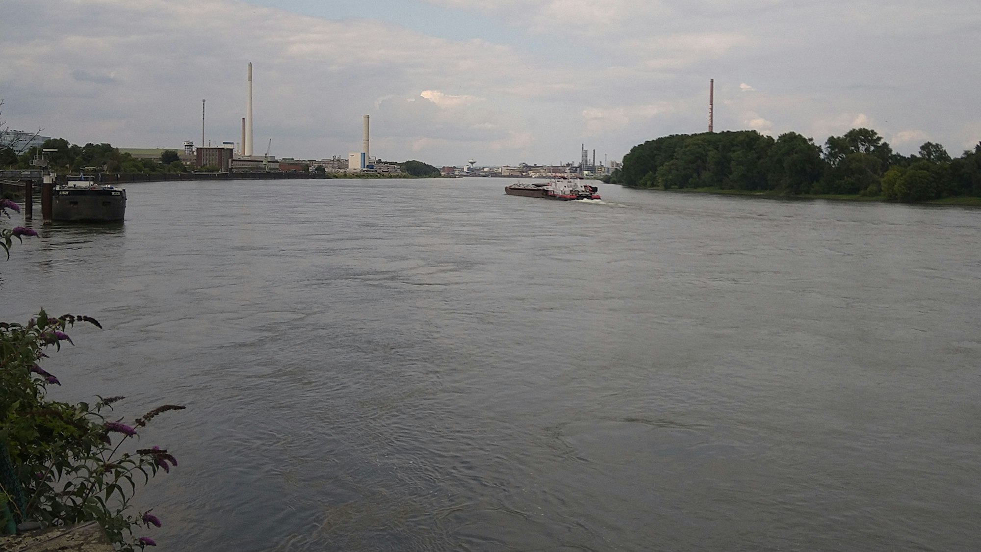 Am Aussichtspunkt am Niehler Damm reicht der Blick von Leverkusen bis Mülheim.