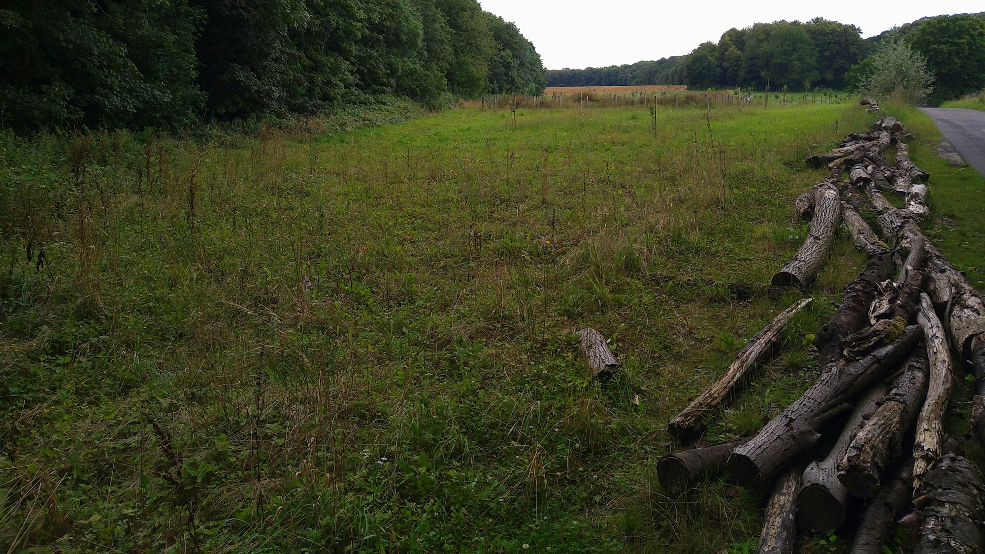 In den Bergheimer Höfen wechseln sich Wald und landwirtschaftliche Flächen ab.