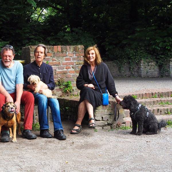 Hundehalter und ihre Hunde sitzen auf einer Bank im Park.