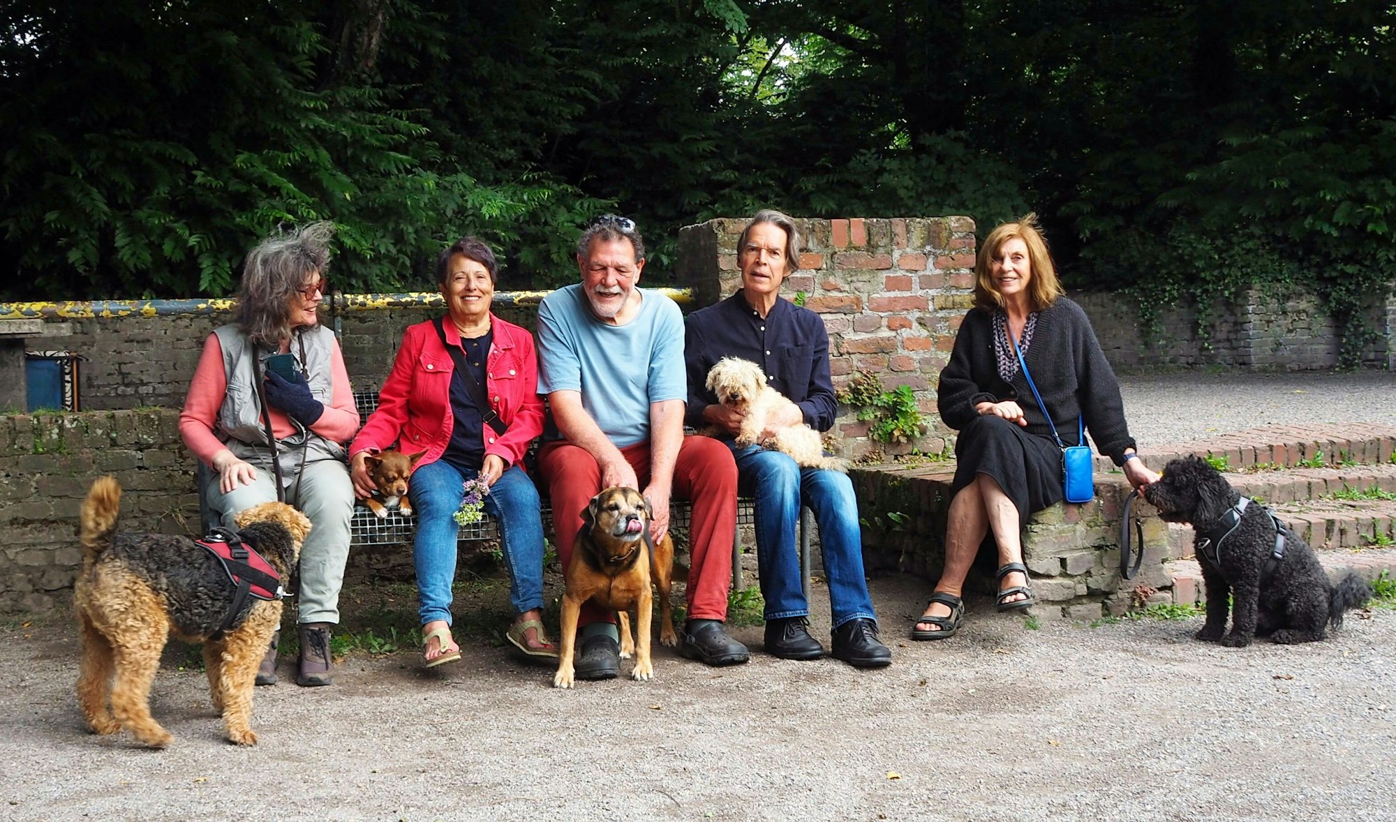 Hundehalter und ihre Hunde sitzen auf einer Bank im Park.