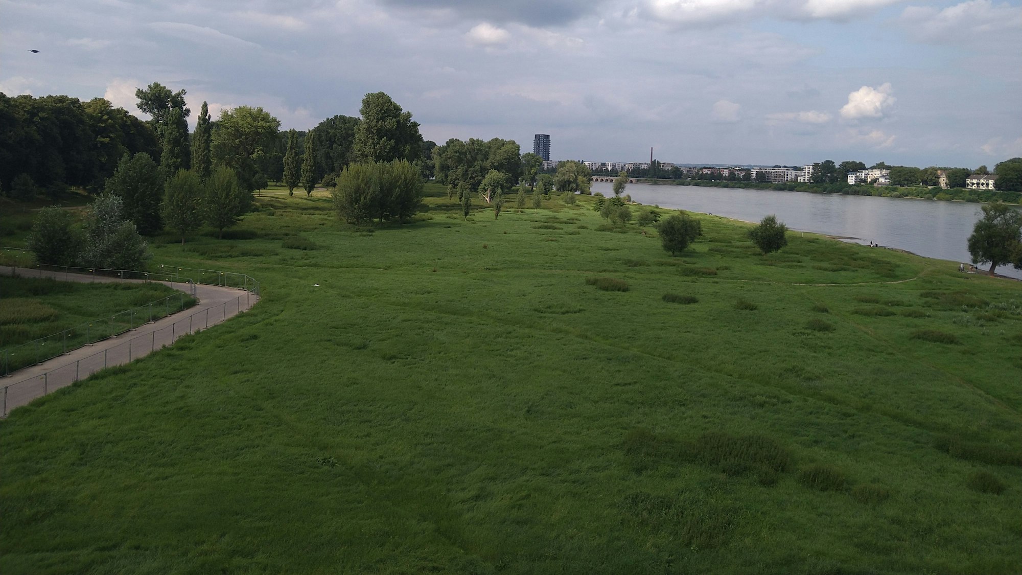 Auf der Mülheimer Brücke lässt sich die Auenlandschaft am Rheinufer in Augenschein nehmen.