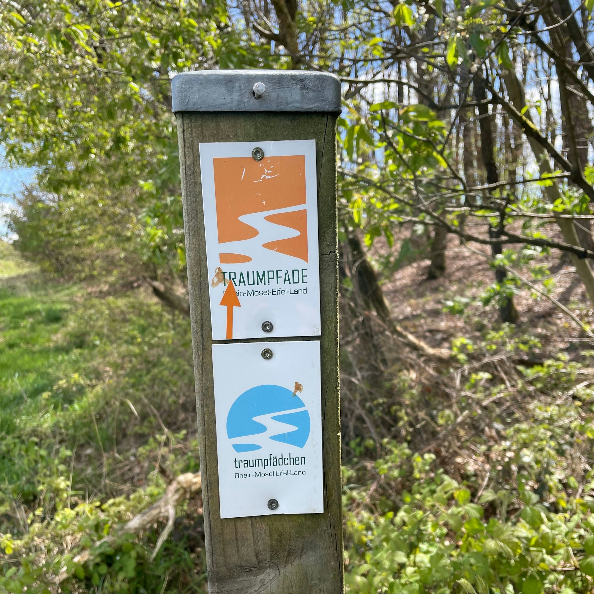Wanderung Langscheid