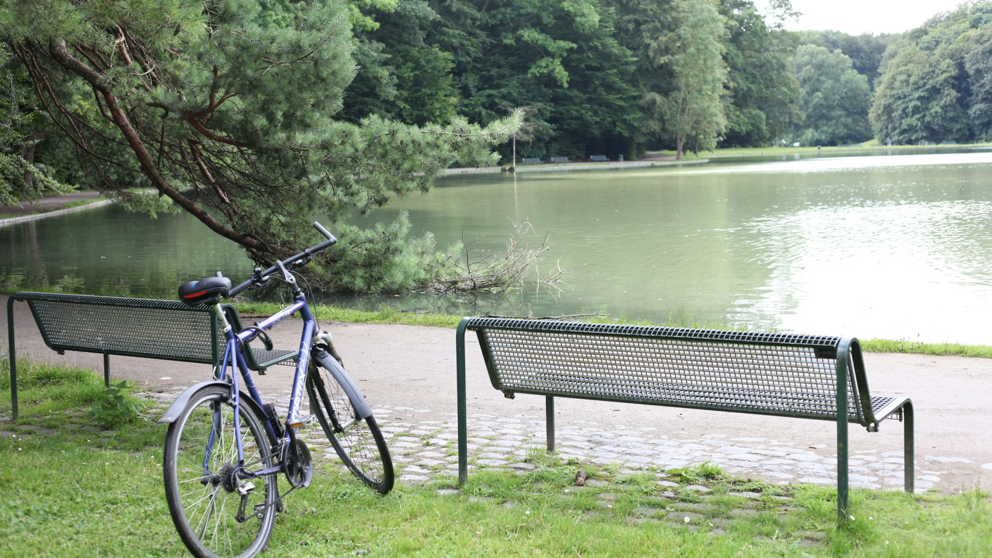 Am Adenauerweiher lässt es sich in entspannter Atmosphäre verweilen.