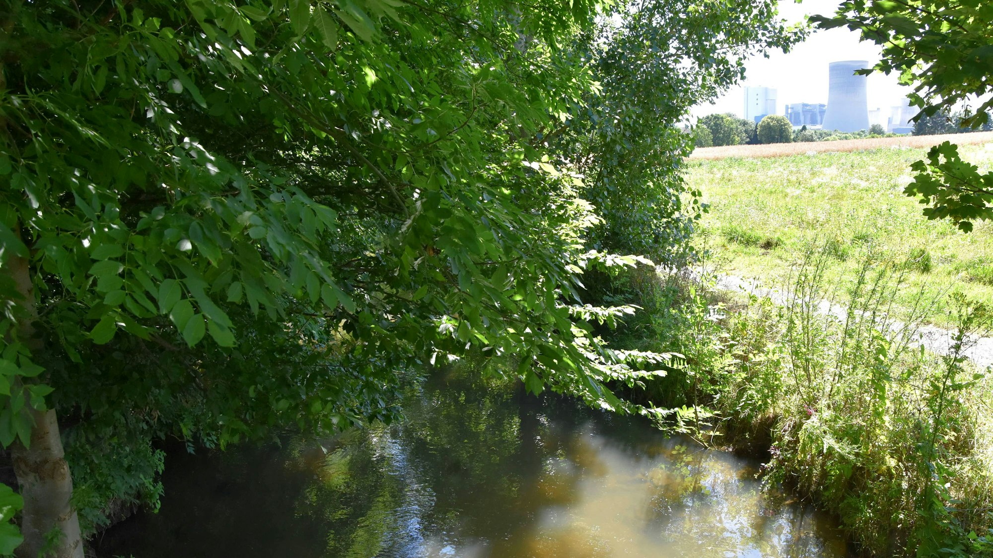 Das Bild zeigt den Gillbach. Zwischen den Büschen und Bäumen am Ufer kann man einen Kühlturm des Kraftwerks in der Nähe sehen.