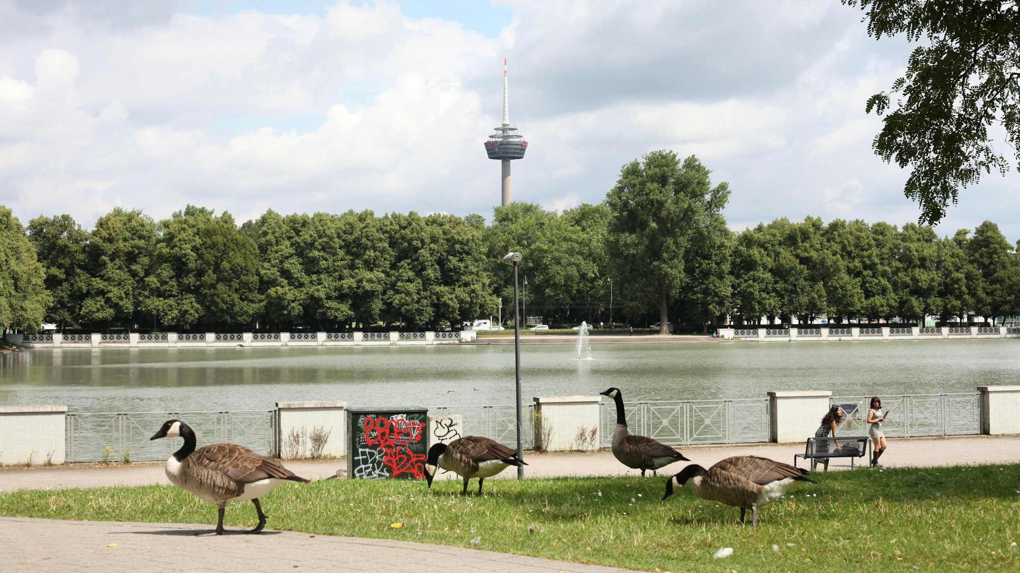 Aachener Weiher mit dem Colonius im Hintergrund