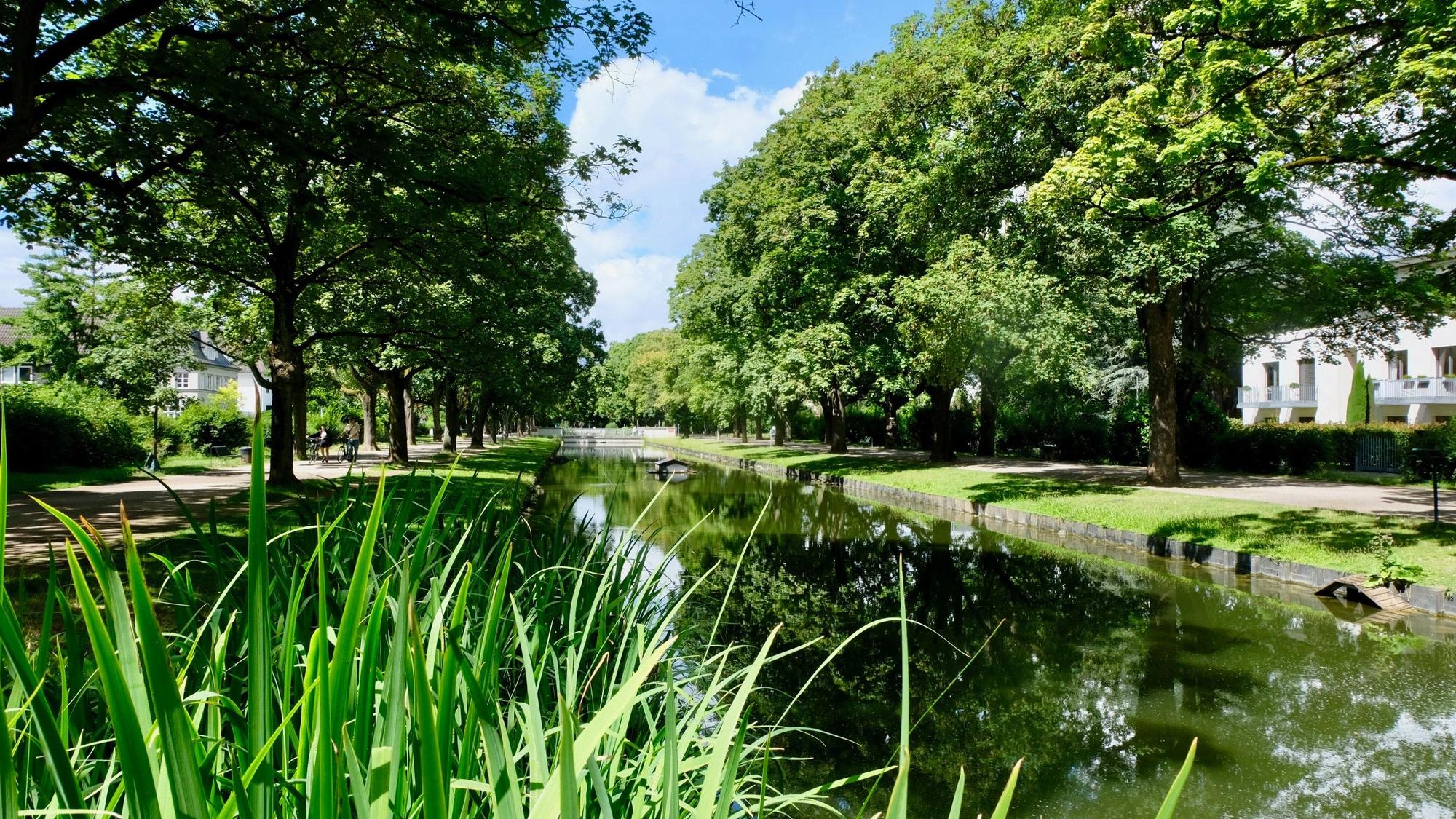Die Lindenthaler Kanäle, gesäumt mit hohen Bäumen
