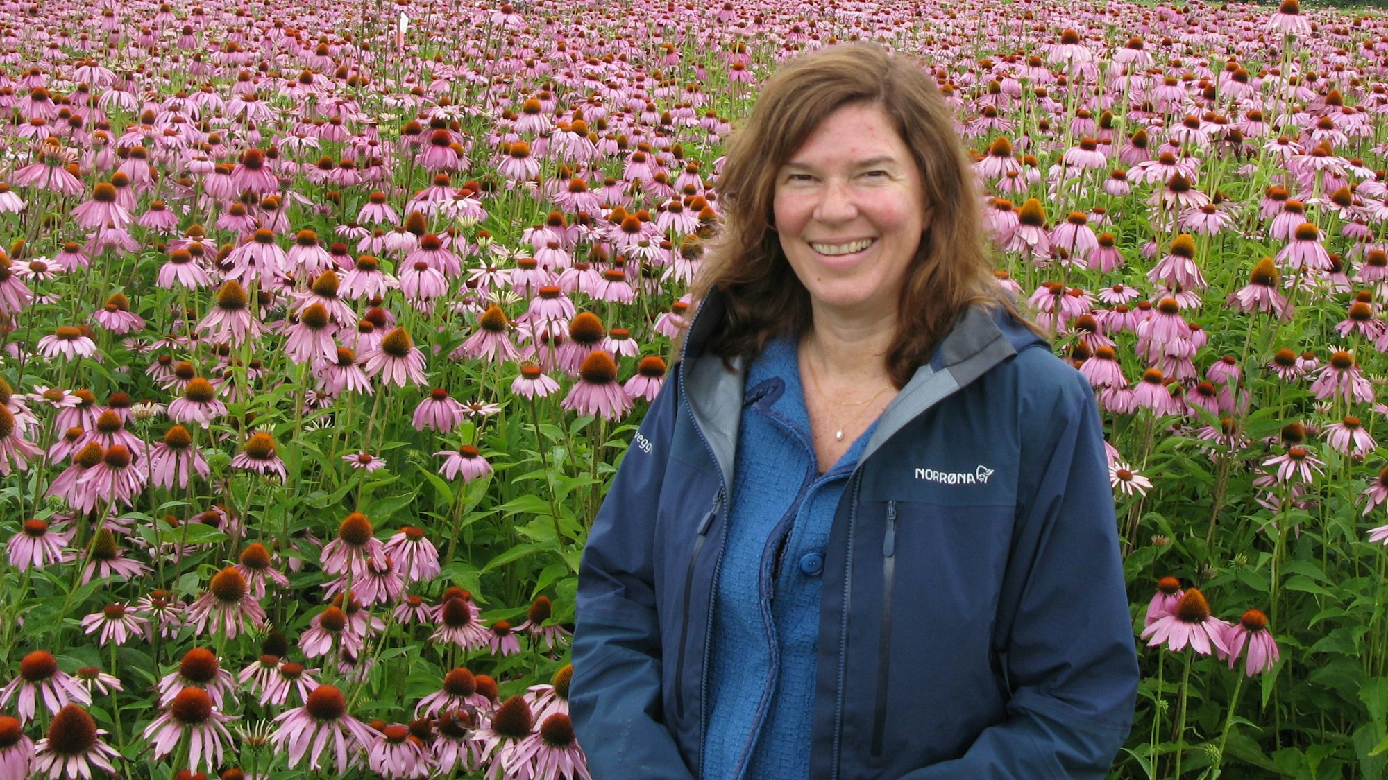 Die Bundestagsabgeordnete Ophelia Nickel mit blauer Jacke inmitten von rosarot blühenden Sonnenhutpflanzen.
