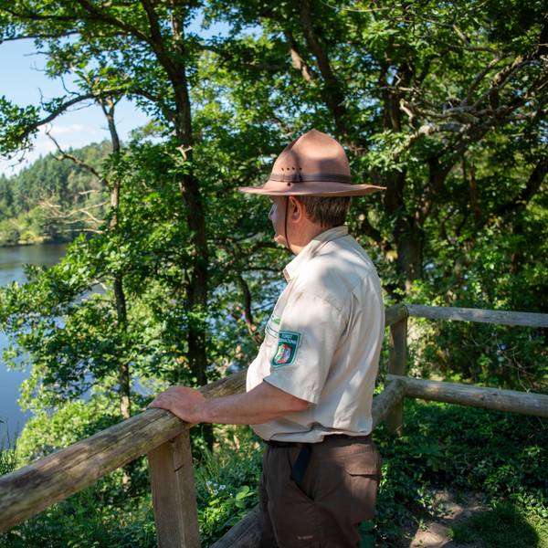 Ranger Ralf Hilgers steht in dunkelbrauner Hose, beigem Hemd und braunem Rangerhut an einem Holzgeländer und schaut auf den Rursee.