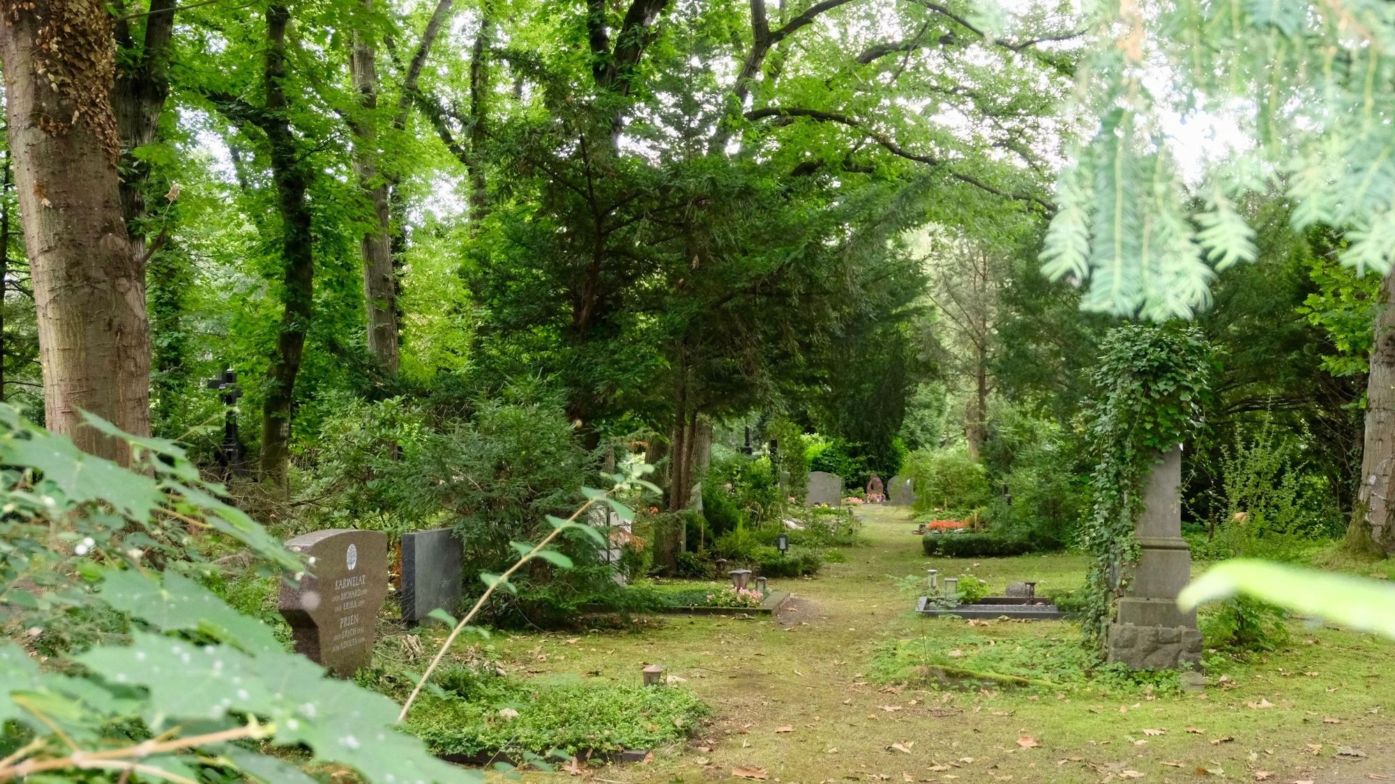 Hohe Bäume und Grabsteine am Melatenfriedhof.