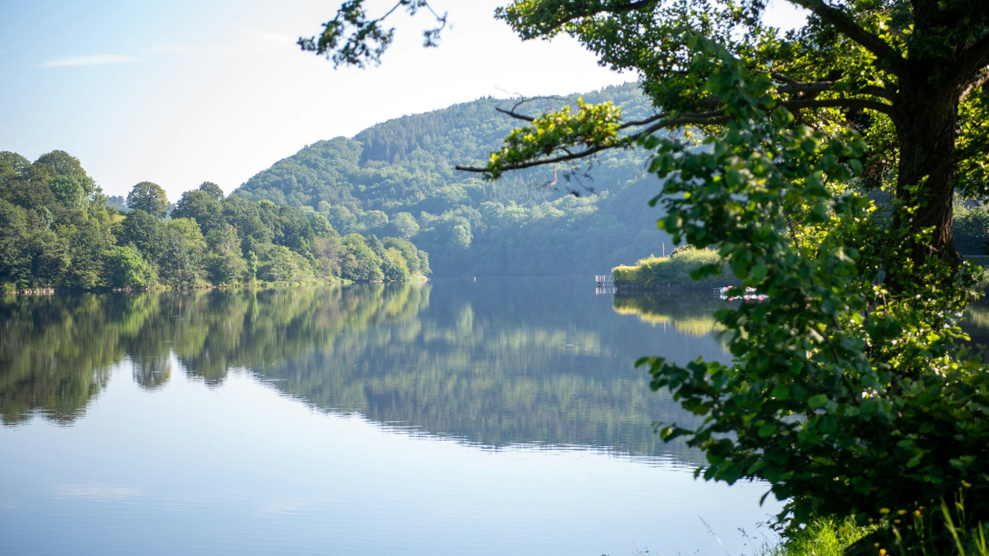 Der Wald spiegelt sich in der glatten Oberfläche des Rursees.