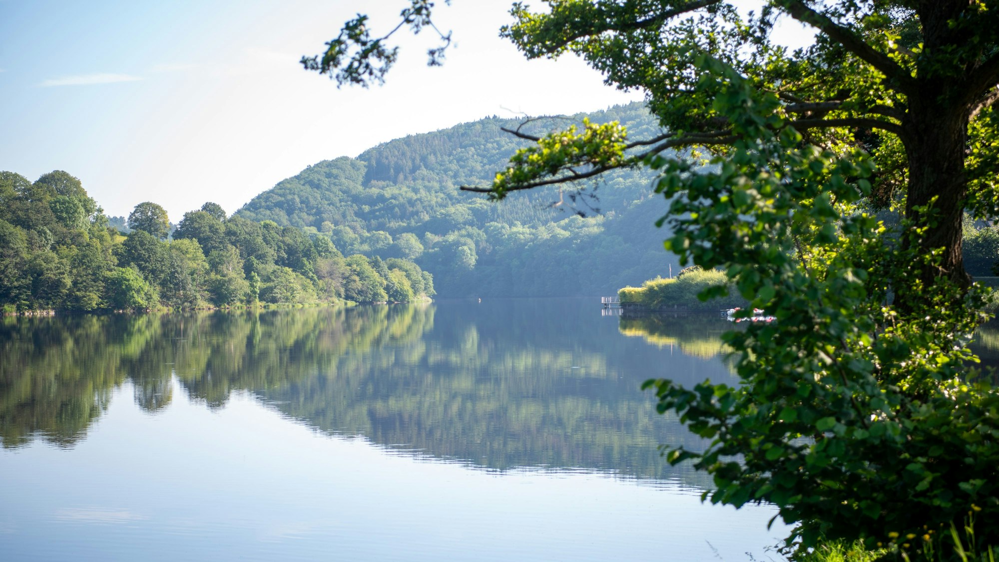 Die Morgensonne scheint auf den Rursee/Obersee in Einruhr.