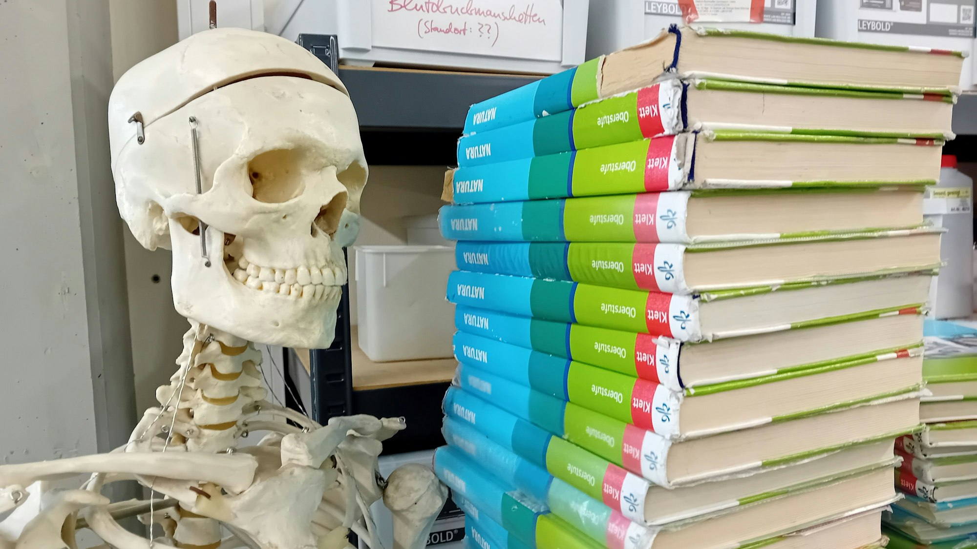 Ein Skelett neben einem Bücherstapel.