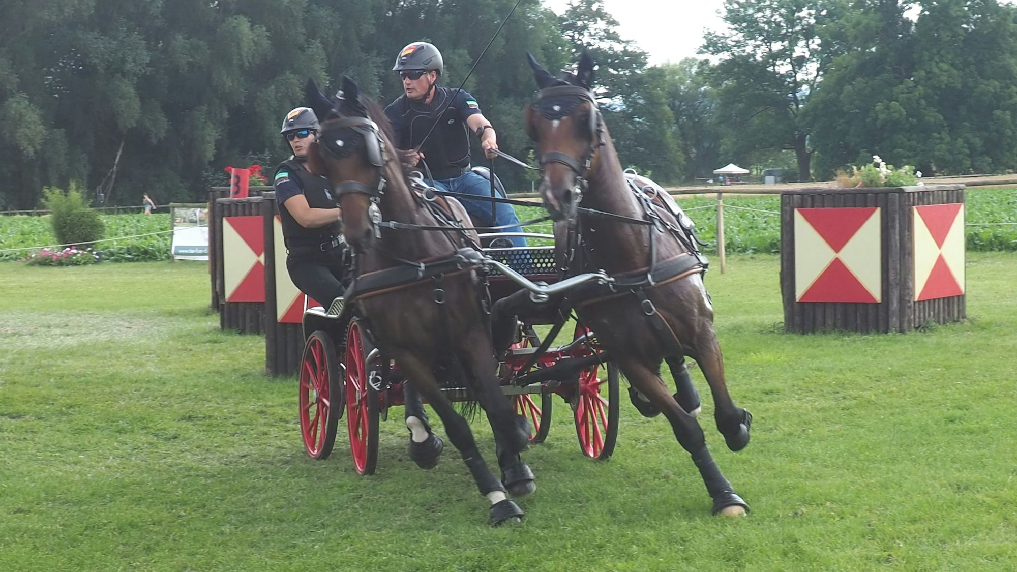 Mit Tempo geht ein Pferdegespann in die Kurve.