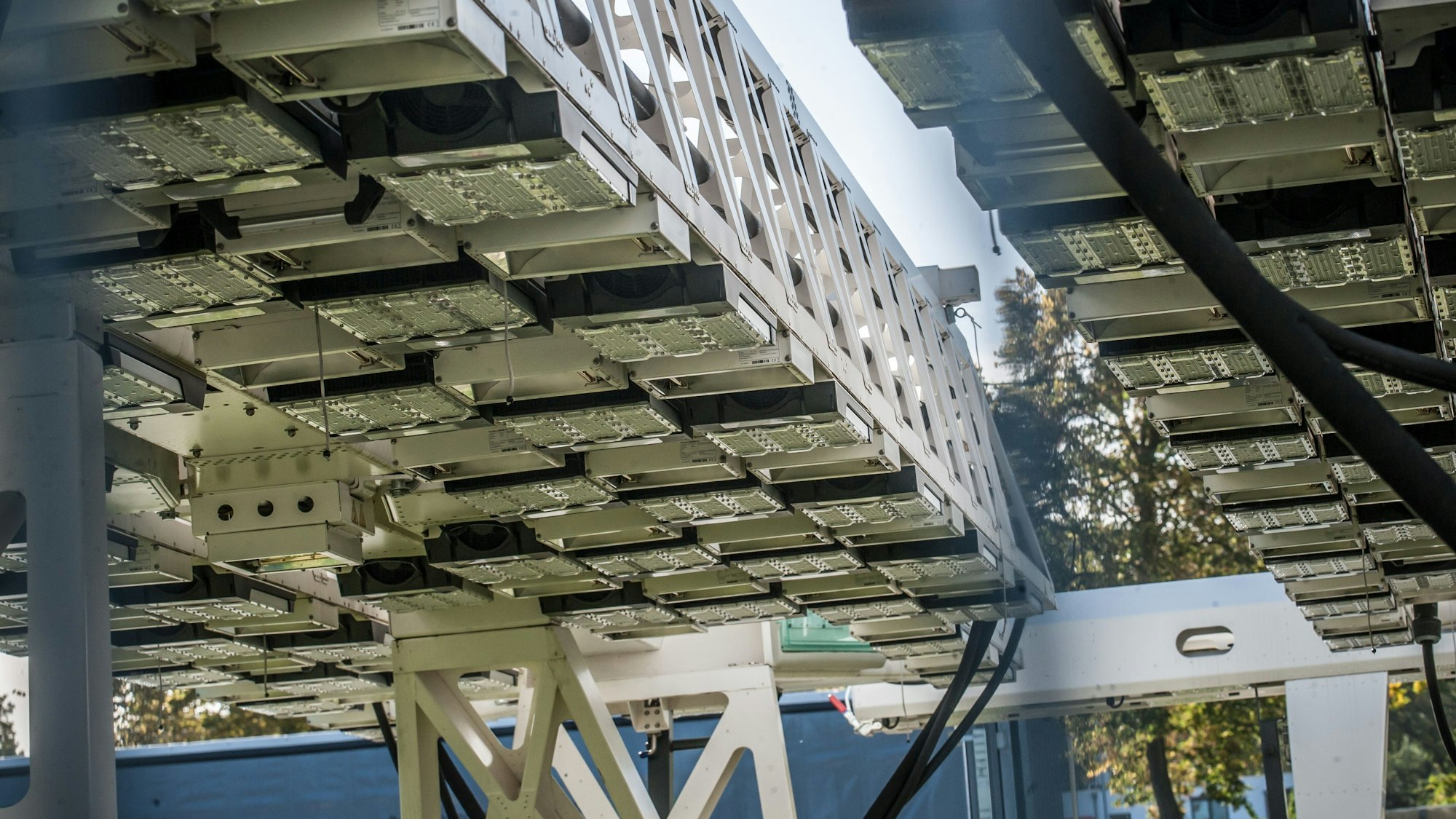 Rasen-Pflanzlampen-Gestelle vor der Bay-Arena