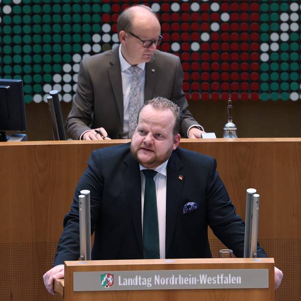 Sven W. Tritschler, AfD-Abgeordneter, spricht im Landtag