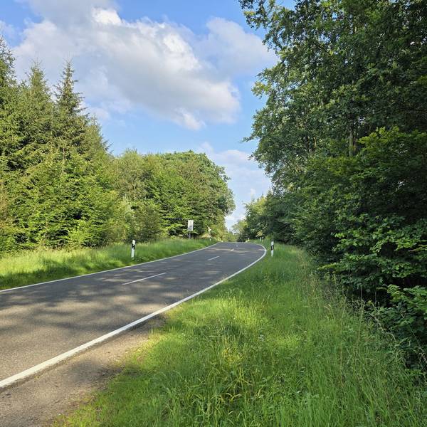Nur wenige Meter von der bekannten Waldkapelle Decke Tönnes zwischen Effelsberg und Bad Münstereifel entfernt, steht ein Bushalteschild an einer Landstraße. Rechts im Bild die Haltestelle, mittig Wiese, links die asphaltierte Straße.