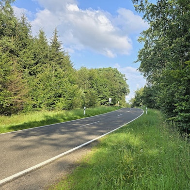 Nur wenige Meter von der bekannten Waldkapelle Decke Tönnes zwischen Effelsberg und Bad Münstereifel  entfernt, steht ein Bushalteschild an einer Landstraße. Rechts im Bild die Haltestelle, mittig Wiese, links die asphaltierte Straße.